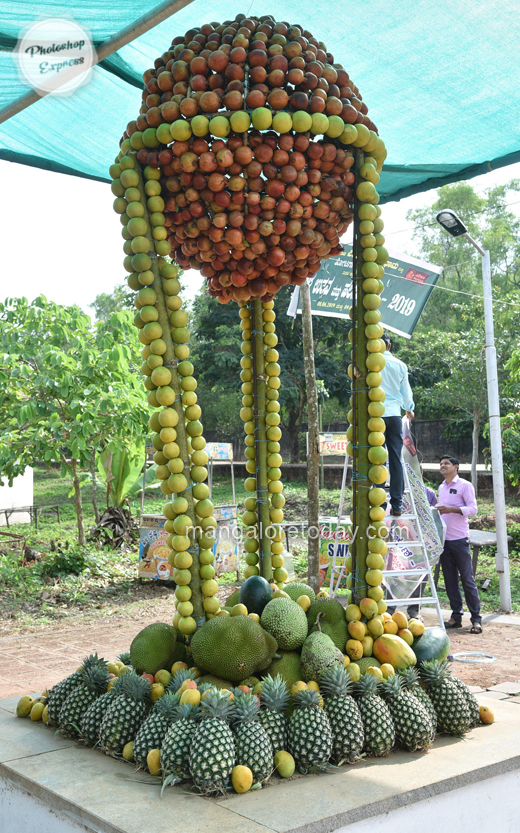Fruits mela mangalore